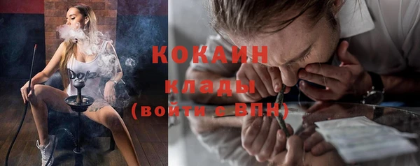 стаф Алексин