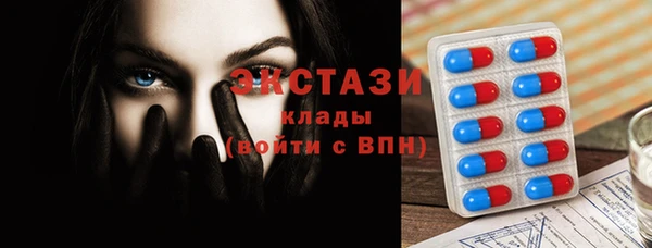 стаф Алексин