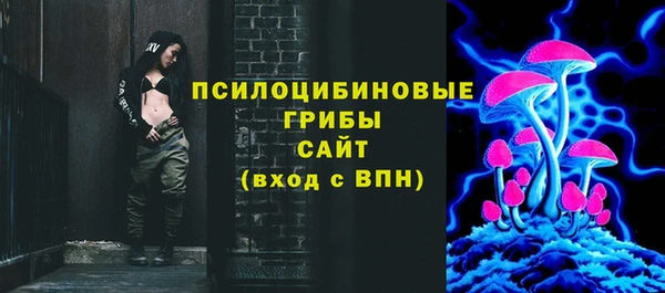 стаф Алексин